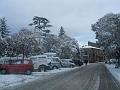 Neve (20)